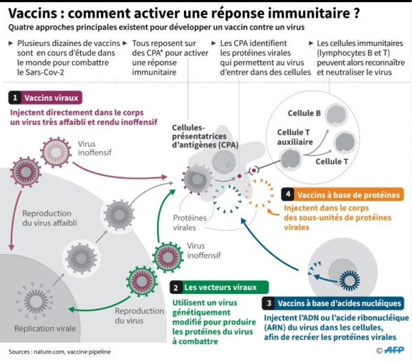 Vaccination ARN dans l’élevage : Des inquiétudes sur la sécurité alimentaire